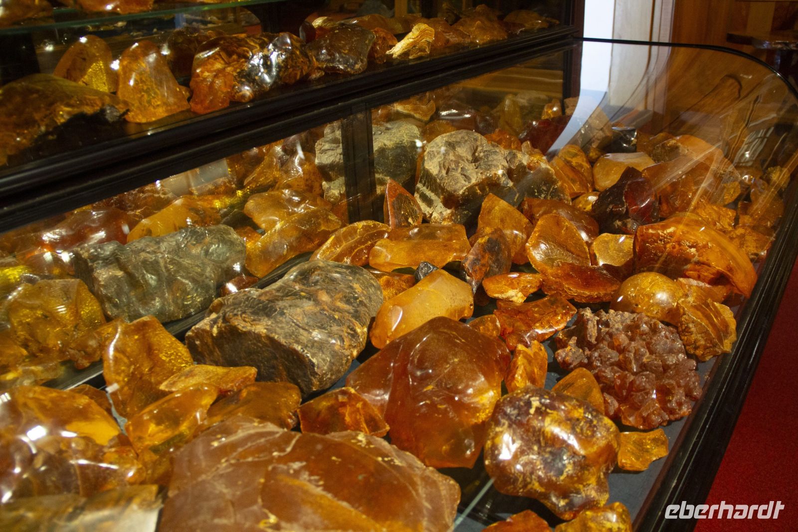 100 - Kauri Museum &ndash; &copy; Vivien Fiedler (Eberhardt TRAVEL)