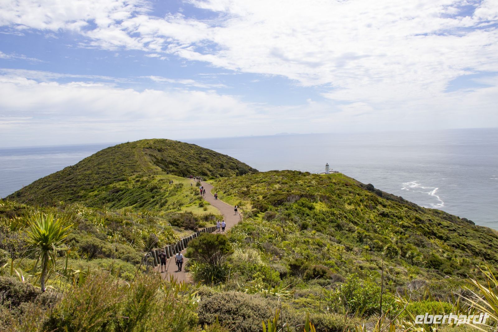 107 - Cap Reinga &ndash; &copy; Vivien Fiedler (Eberhardt TRAVEL)