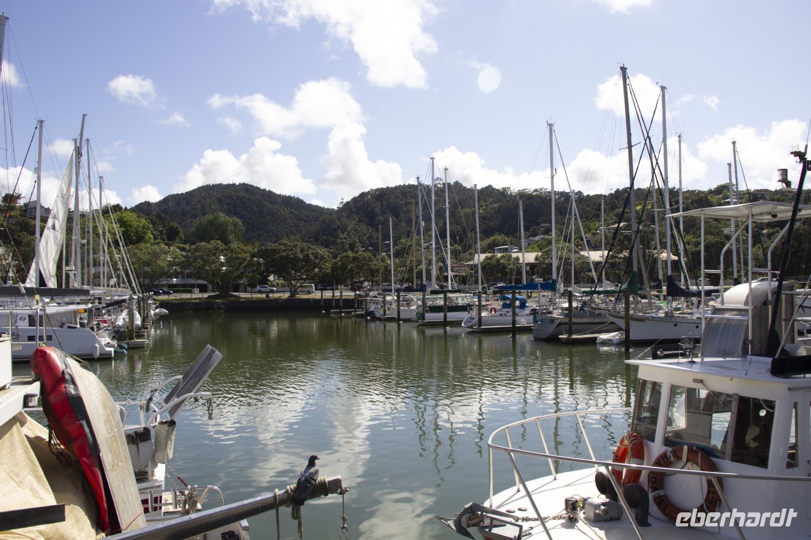 125 - Whangarei &ndash; &copy; Vivien Fiedler (Eberhardt TRAVEL)