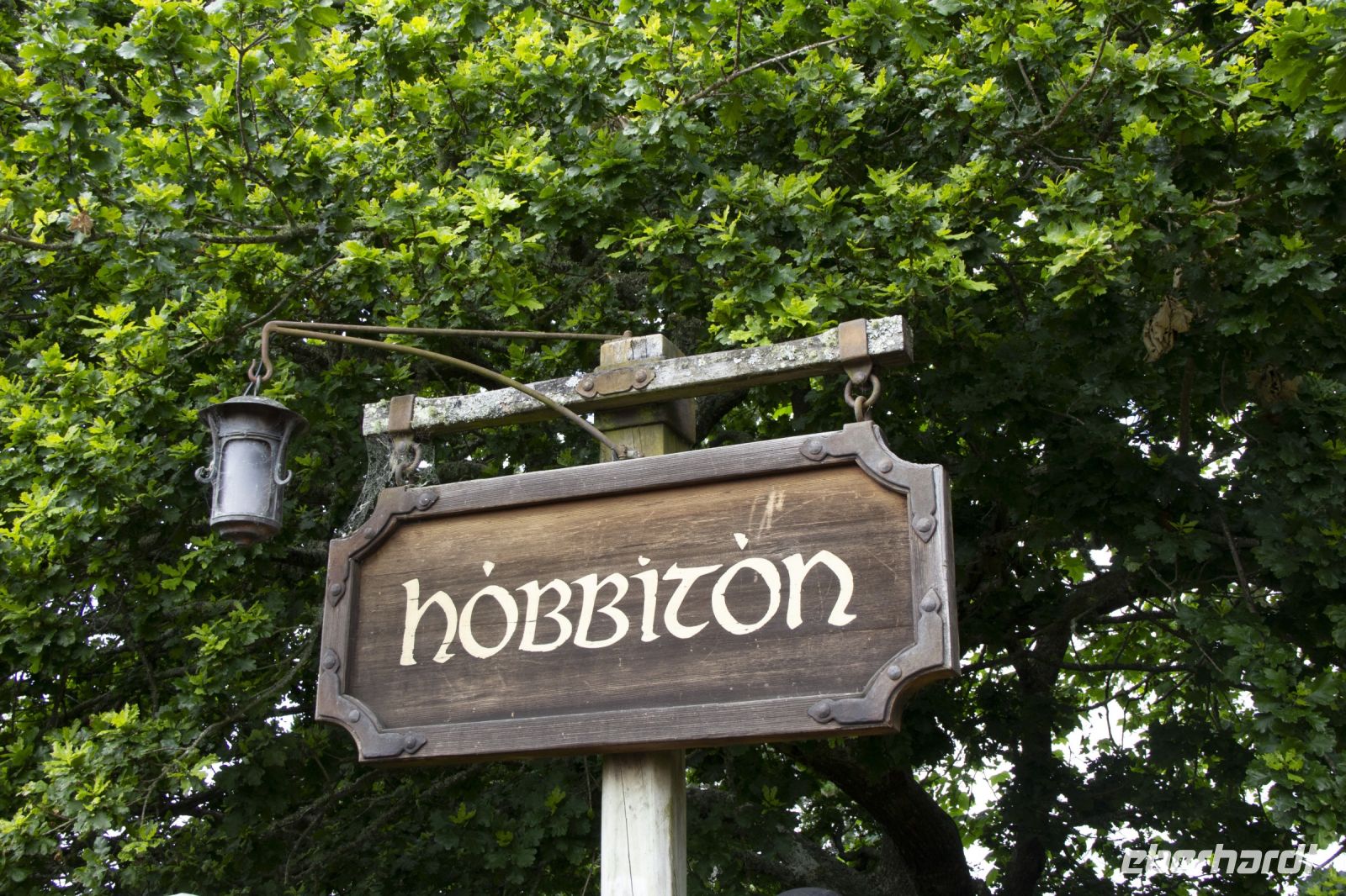 137 - Hobbiton &ndash; &copy; Vivien Fiedler (Eberhardt TRAVEL)