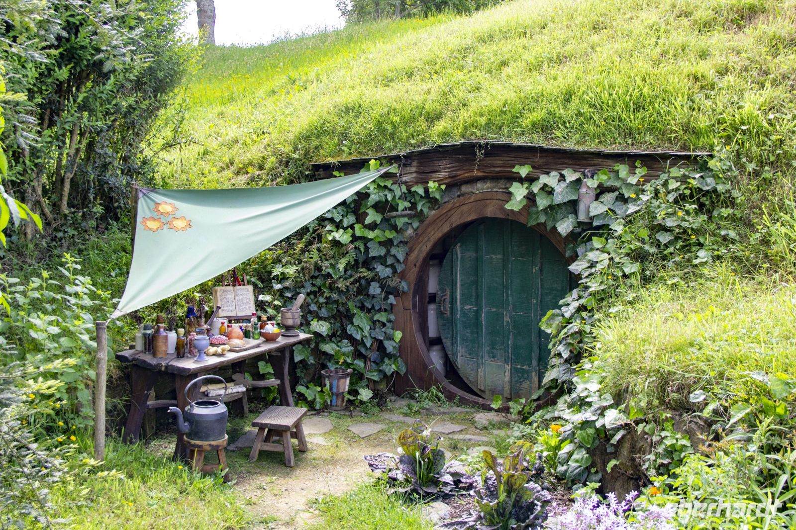 140 - Hobbiton &ndash; &copy; Vivien Fiedler (Eberhardt TRAVEL)