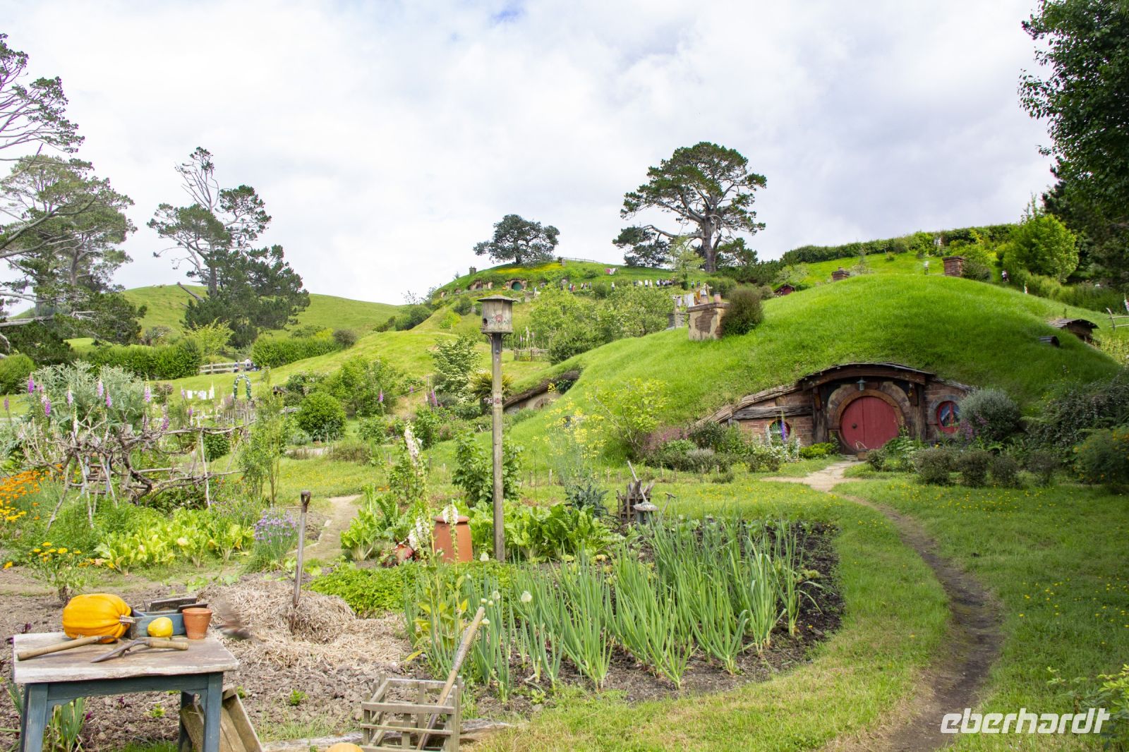 141 - Hobbiton &ndash; &copy; Vivien Fiedler (Eberhardt TRAVEL)
