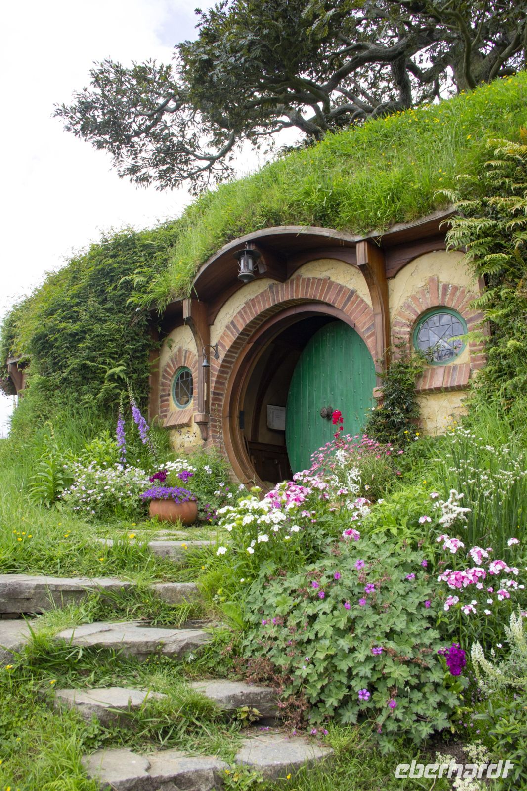153 - Hobbiton &ndash; &copy; Vivien Fiedler (Eberhardt TRAVEL)