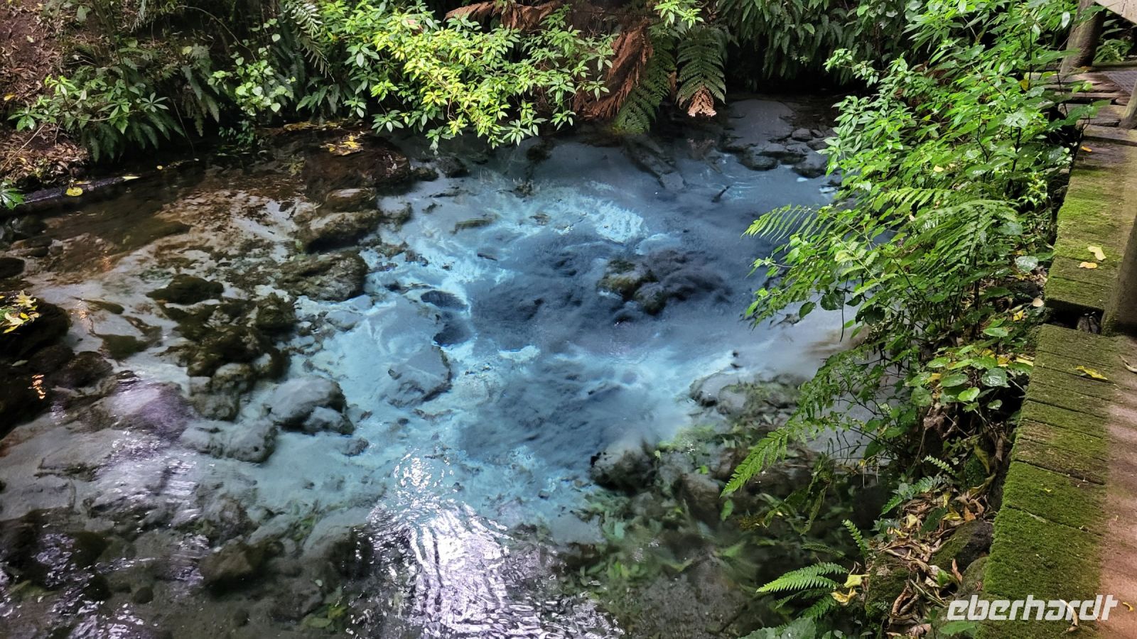 176 - Rotorua &ndash; &copy; Vivien Fiedler (Eberhardt TRAVEL)
