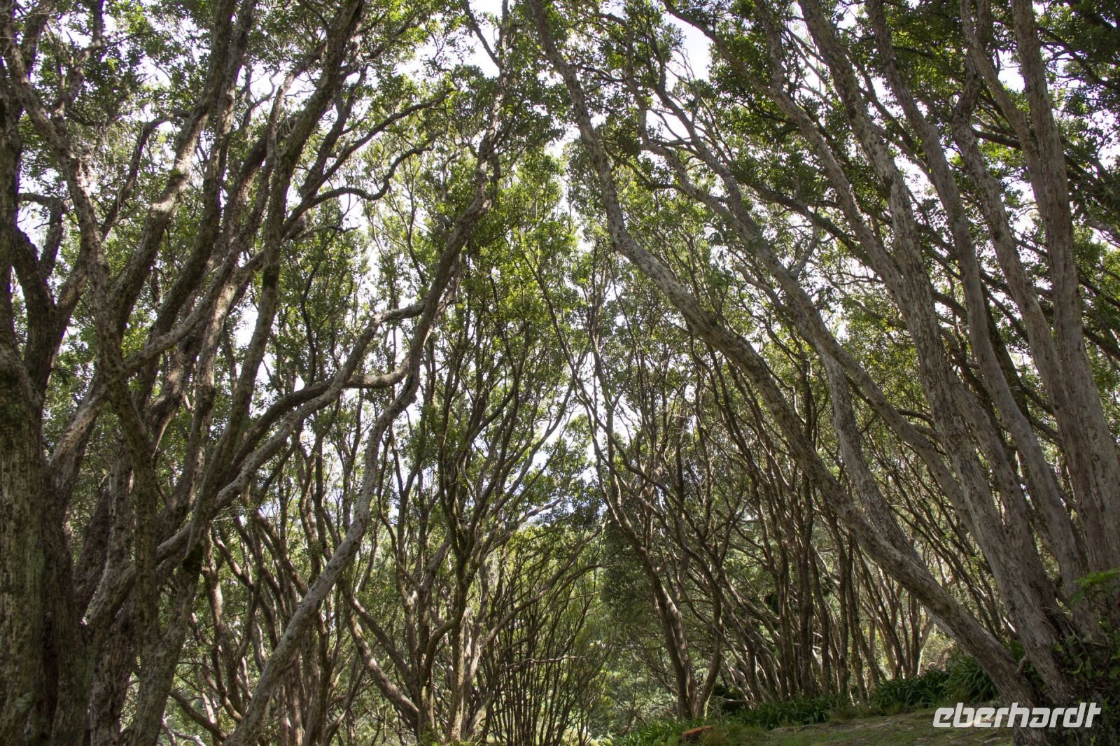 197 - Wellington &ndash; &copy; Vivien Fiedler (Eberhardt TRAVEL)
