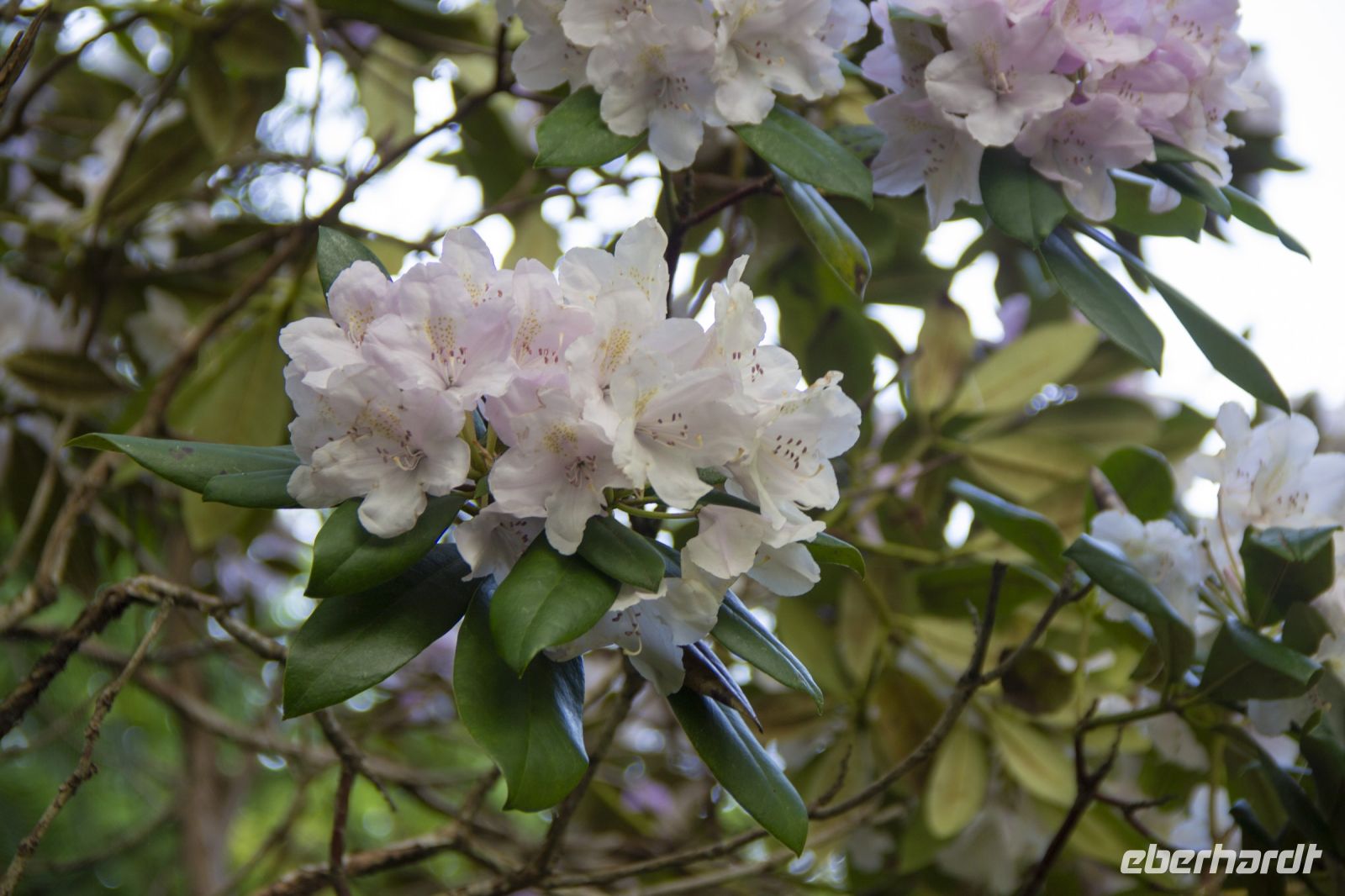201 - Wellington &ndash; &copy; Vivien Fiedler (Eberhardt TRAVEL)