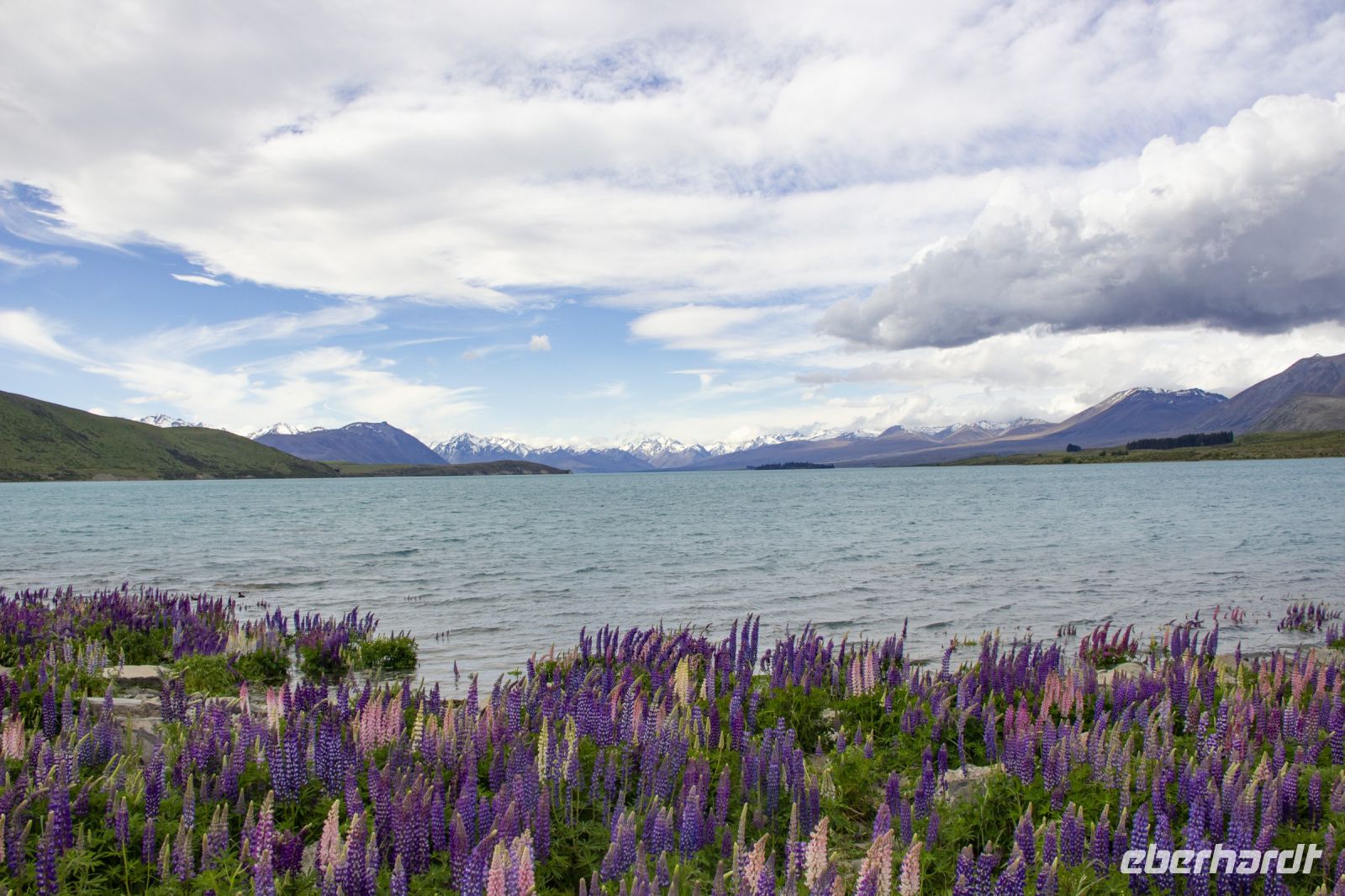 237 - Lake Tekapo &ndash; &copy; Vivien Fiedler (Eberhardt TRAVEL)