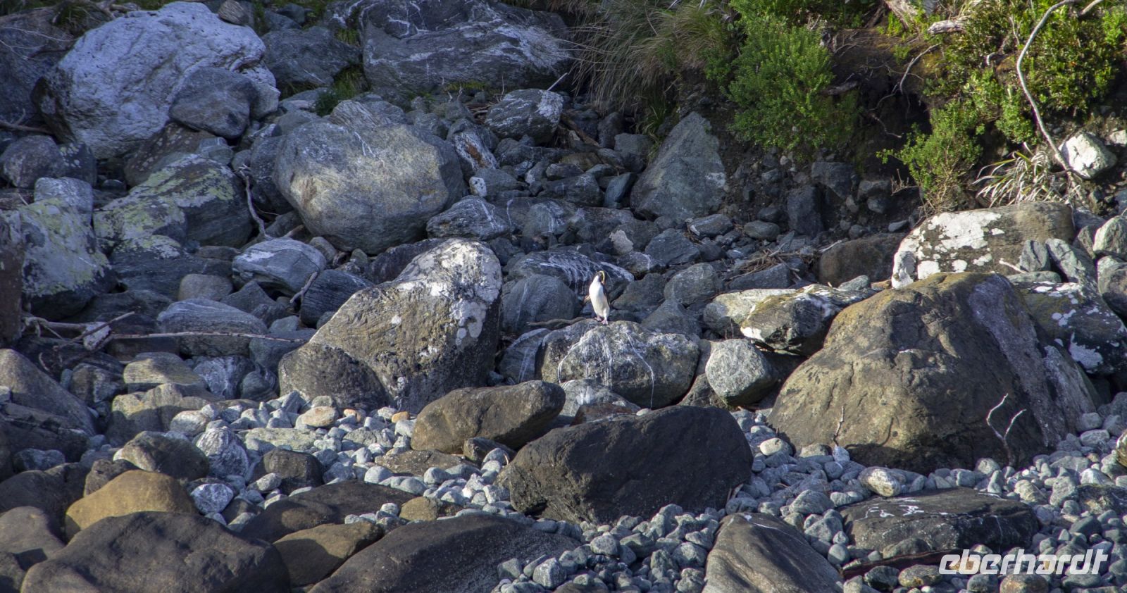 367 - Milford Sound &ndash; &copy; Vivien Fiedler (Eberhardt TRAVEL)
