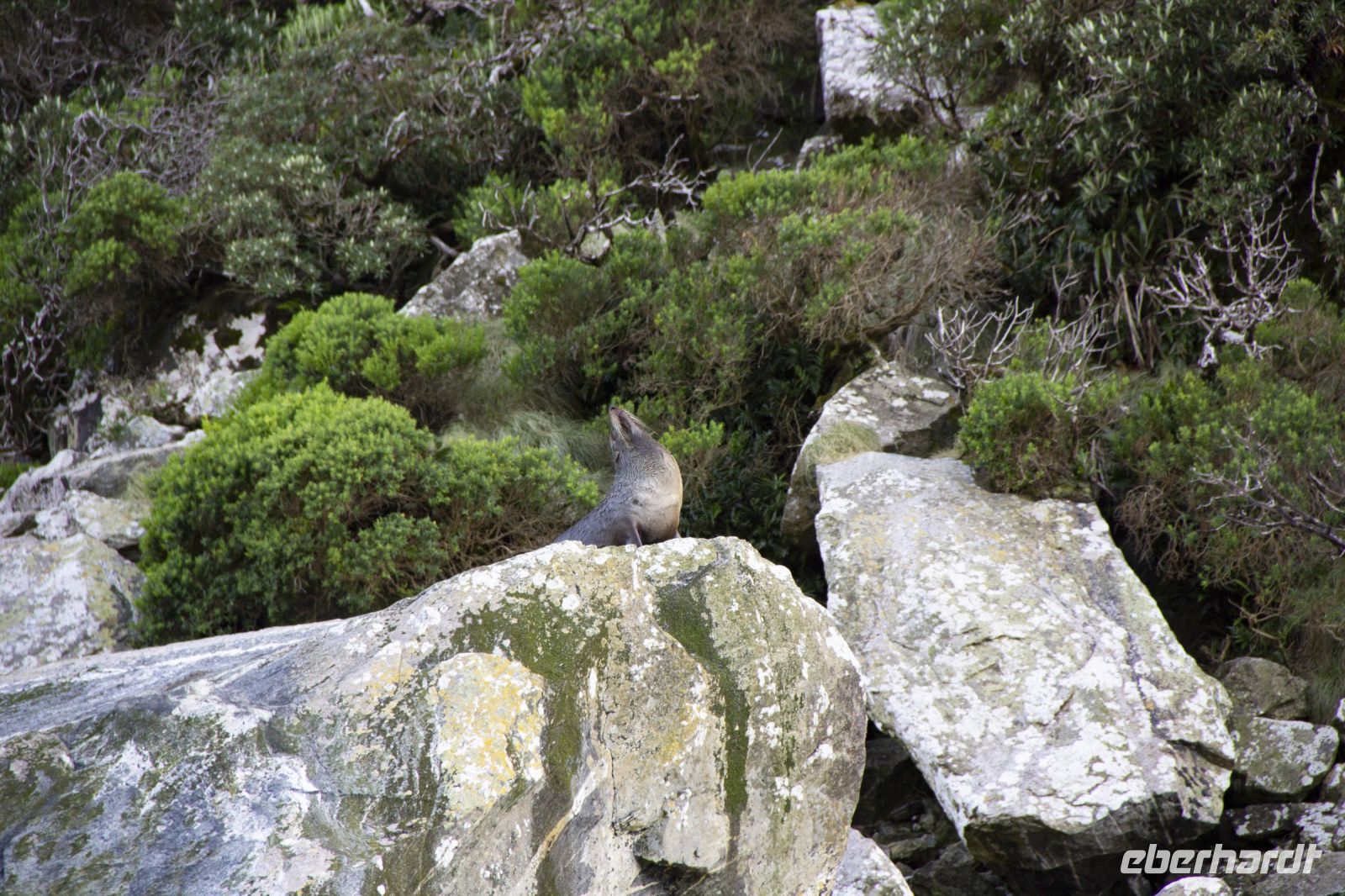 373 - Milford Sound &ndash; &copy; Vivien Fiedler (Eberhardt TRAVEL)