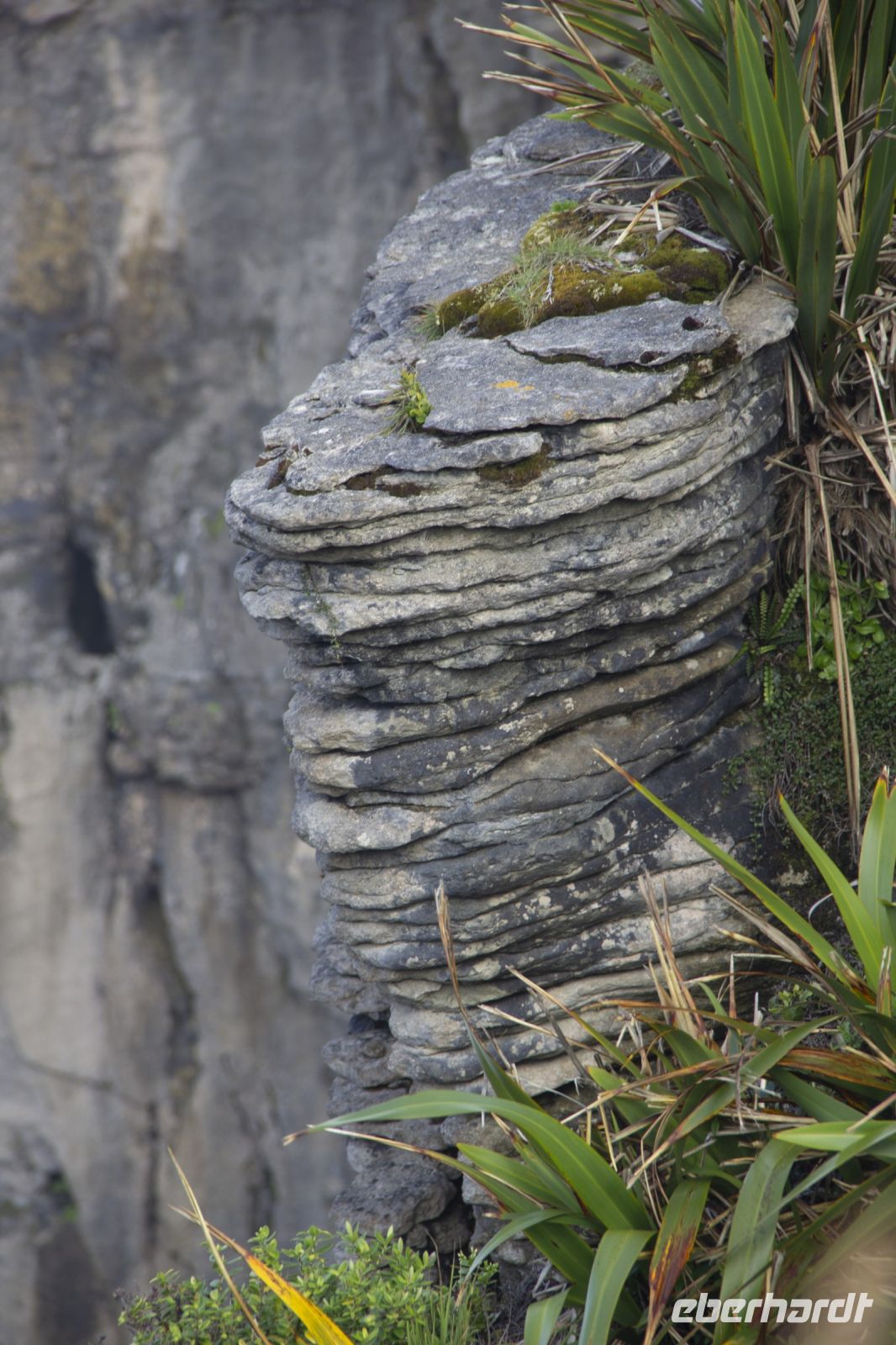 428 - Pancake Rocks &ndash; &copy; Vivien Fiedler (Eberhardt TRAVEL)