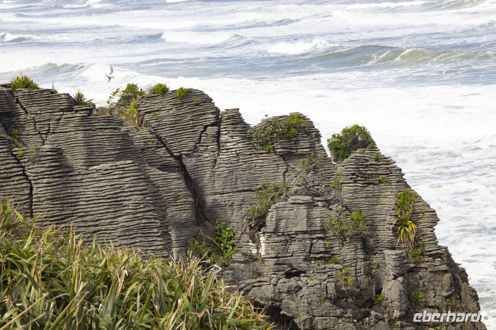 434 - Pancake Rocks &ndash; &copy; Vivien Fiedler (Eberhardt TRAVEL)