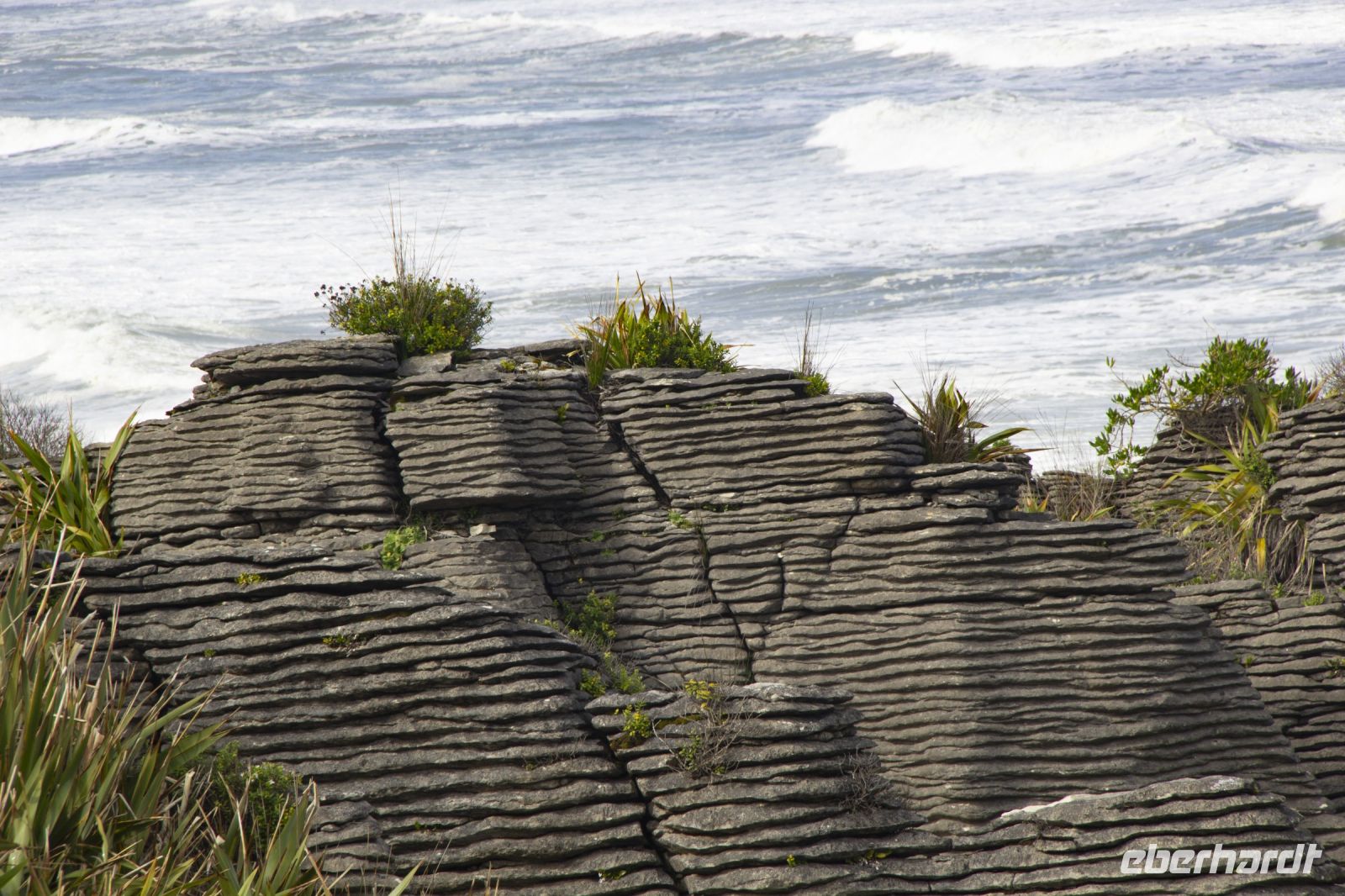 435 - Pancake Rocks &ndash; &copy; Vivien Fiedler (Eberhardt TRAVEL)