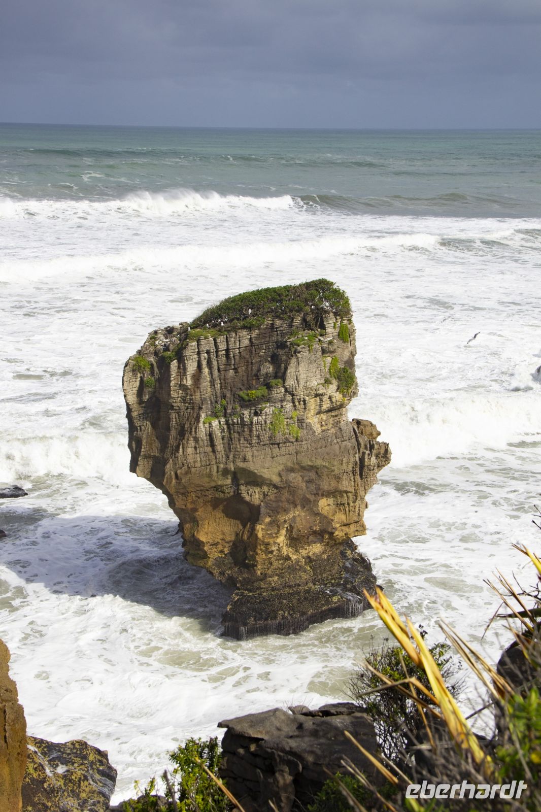 444 - Pancake Rocks &ndash; &copy; Vivien Fiedler (Eberhardt TRAVEL)