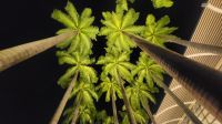 002 - Singapur bei Nacht &ndash; &copy; Vivien Fiedler (Eberhardt TRAVEL)
