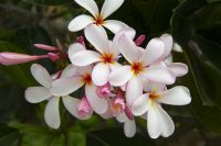 046 - Singapur &ndash; &copy; Vivien Fiedler (Eberhardt TRAVEL)