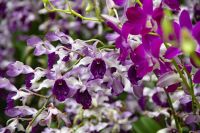 051 - Singapur &ndash; &copy; Vivien Fiedler (Eberhardt TRAVEL)