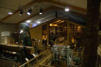 089 - Kauri Museum &ndash; &copy; Vivien Fiedler (Eberhardt TRAVEL)