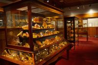 099 - Kauri Museum &ndash; &copy; Vivien Fiedler (Eberhardt TRAVEL)