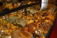 100 - Kauri Museum &ndash; &copy; Vivien Fiedler (Eberhardt TRAVEL)