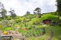 141 - Hobbiton &ndash; &copy; Vivien Fiedler (Eberhardt TRAVEL)