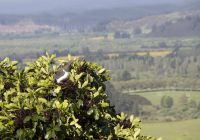 182 - Tangariro-Nationalpark &ndash; &copy; Vivien Fiedler (Eberhardt TRAVEL)