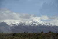 183 - Tangariro-Nationalpark &ndash; &copy; Vivien Fiedler (Eberhardt TRAVEL)