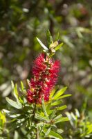 195 - Wellington &ndash; &copy; Vivien Fiedler (Eberhardt TRAVEL)