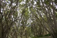 197 - Wellington &ndash; &copy; Vivien Fiedler (Eberhardt TRAVEL)