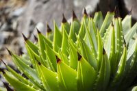 199 - Wellington &ndash; &copy; Vivien Fiedler (Eberhardt TRAVEL)