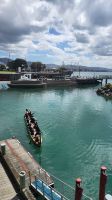 207 - Wellington &ndash; &copy; Vivien Fiedler (Eberhardt TRAVEL)