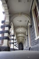 285 - Dunedin &ndash; &copy; Vivien Fiedler (Eberhardt TRAVEL)