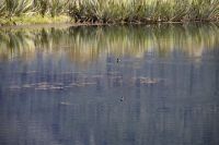 294 - Mirror Lake &ndash; &copy; Vivien Fiedler (Eberhardt TRAVEL)