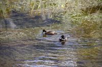 298 - Mirror Lake &ndash; &copy; Vivien Fiedler (Eberhardt TRAVEL)
