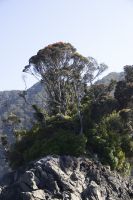 343 - Milford Sound &ndash; &copy; Vivien Fiedler (Eberhardt TRAVEL)