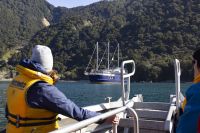 345 - Milford Sound &ndash; &copy; Vivien Fiedler (Eberhardt TRAVEL)