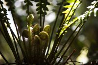382 &ndash; &copy; Vivien Fiedler (Eberhardt TRAVEL)