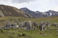 404 - Kura Tawhiti &ndash; &copy; Vivien Fiedler (Eberhardt TRAVEL)