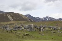 406 - Kura Tawhiti &ndash; &copy; Vivien Fiedler (Eberhardt TRAVEL)