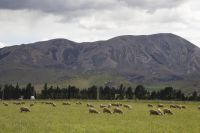 408 - Kura Tawhiti &ndash; &copy; Vivien Fiedler (Eberhardt TRAVEL)