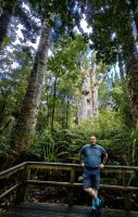 Rene vor einem Riesenkauri &ndash; &copy; Simone Willner (Eberhardt TRAVEL)