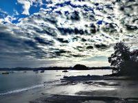 Morgens in Paihia &ndash; &copy; Simone Willner (Eberhardt TRAVEL)