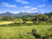 Coromandel Halbinsel &ndash; &copy; Simone Willner (Eberhardt TRAVEL)