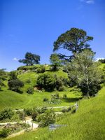 Filmset Hobbiton &ndash; &copy; Simone Willner (Eberhardt TRAVEL)