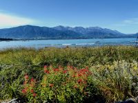 Pazifikküste bei Kaikoura &ndash; &copy; Simone Willner (Eberhardt TRAVEL)
