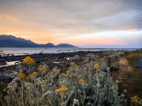 Abendstimmung am Pazifik in Kaikoura &ndash; &copy; Simone Willner (Eberhardt TRAVEL)