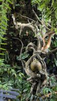20241216-4 Impressionen im Garten by the Bay (8).jpg &ndash; &copy; Michael Rass (Eberhardt TRAVEL)