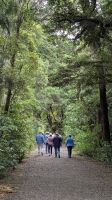 20241218-11 gigantische Wälder.jpg &ndash; &copy; Michael Rass (Eberhardt TRAVEL)