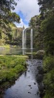 20241220_5 Whangarei Wasserfall.jpg &ndash; &copy; Michael Rass (Eberhardt TRAVEL)