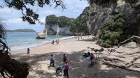 20241221_6 Cathedral Cove.jpg &ndash; &copy; Michael Rass (Eberhardt TRAVEL)