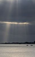20241227_1 guten Morgenaus Kaikourua.jpg &ndash; &copy; Michael Rass (Eberhardt TRAVEL)